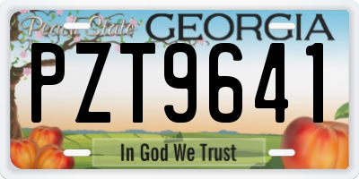 GA license plate PZT9641