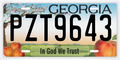 GA license plate PZT9643