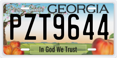 GA license plate PZT9644