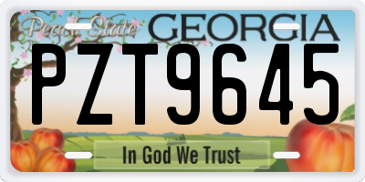GA license plate PZT9645