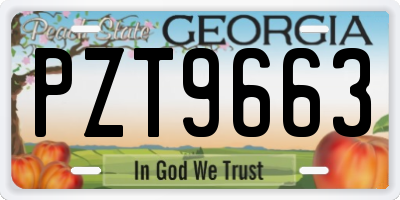 GA license plate PZT9663