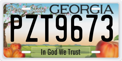 GA license plate PZT9673