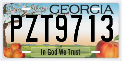 GA license plate PZT9713