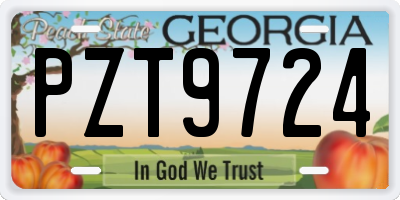 GA license plate PZT9724