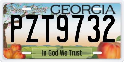 GA license plate PZT9732