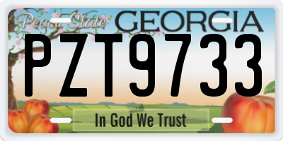 GA license plate PZT9733