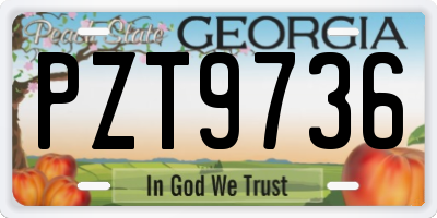GA license plate PZT9736