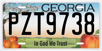 GA license plate PZT9738