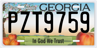 GA license plate PZT9759