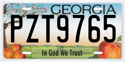 GA license plate PZT9765