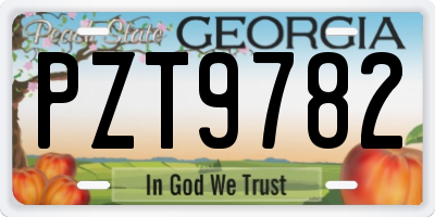 GA license plate PZT9782