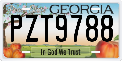 GA license plate PZT9788