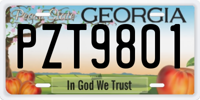 GA license plate PZT9801