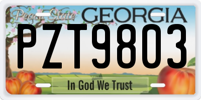 GA license plate PZT9803