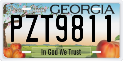 GA license plate PZT9811