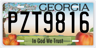 GA license plate PZT9816