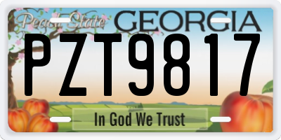 GA license plate PZT9817