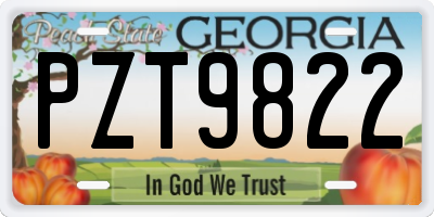 GA license plate PZT9822