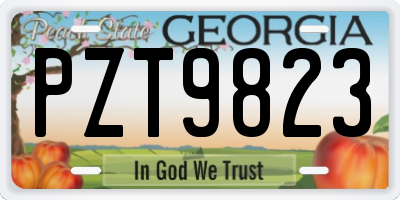 GA license plate PZT9823