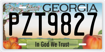 GA license plate PZT9827