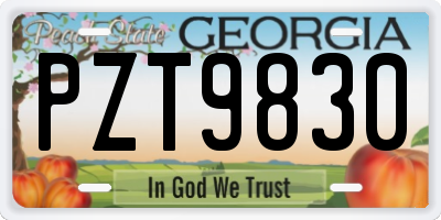 GA license plate PZT9830