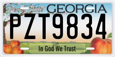 GA license plate PZT9834