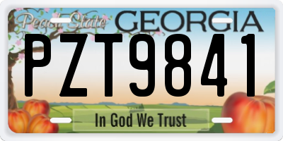 GA license plate PZT9841