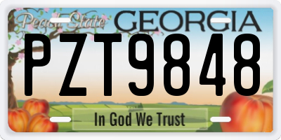 GA license plate PZT9848