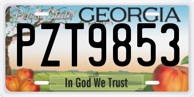 GA license plate PZT9853