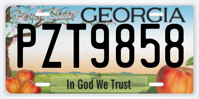 GA license plate PZT9858