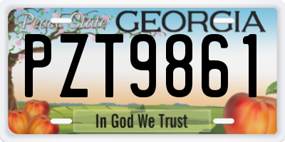 GA license plate PZT9861