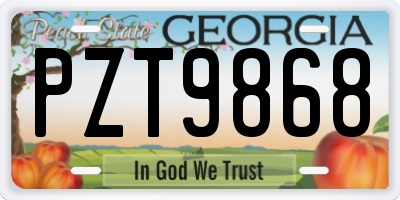 GA license plate PZT9868