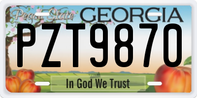 GA license plate PZT9870