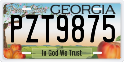 GA license plate PZT9875