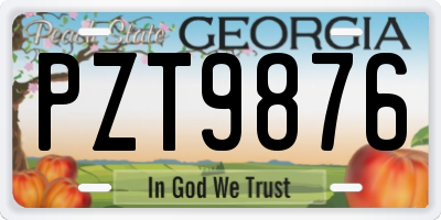 GA license plate PZT9876