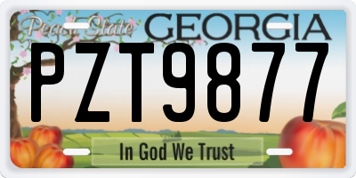 GA license plate PZT9877