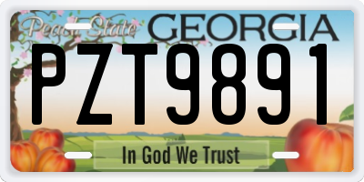 GA license plate PZT9891