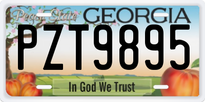 GA license plate PZT9895