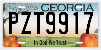 GA license plate PZT9917