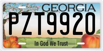 GA license plate PZT9920