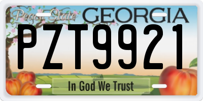 GA license plate PZT9921
