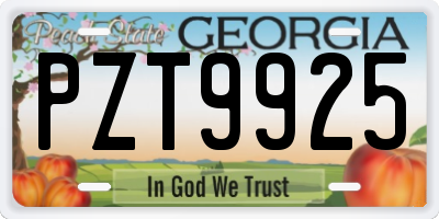 GA license plate PZT9925
