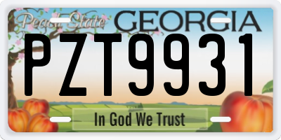 GA license plate PZT9931