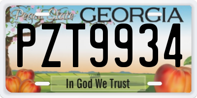 GA license plate PZT9934