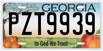 GA license plate PZT9939