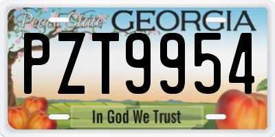 GA license plate PZT9954