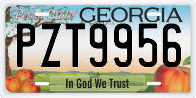 GA license plate PZT9956