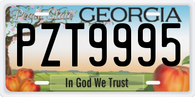 GA license plate PZT9995