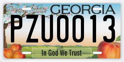 GA license plate PZU0013