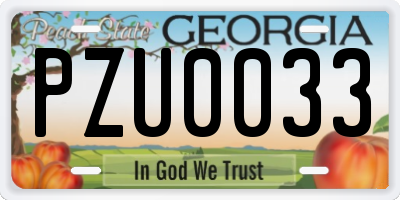 GA license plate PZU0033